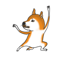 Shiba dog PanPan's normal life 2 sticker #7539027