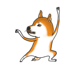 Shiba dog PanPan's normal life 2 sticker #7539027