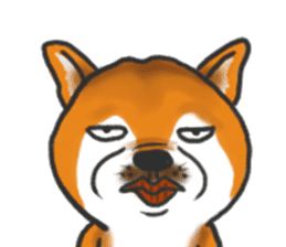 Shiba dog PanPan's normal life 2 sticker #7539029