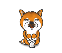 Shiba dog PanPan's normal life 2 sticker #7539030