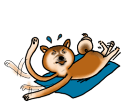 Shiba dog PanPan's normal life 2 sticker #7539032