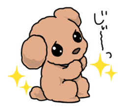 Kawaii Toy Poodle sticker #7542768