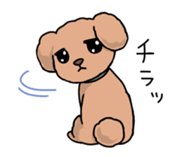 Kawaii Toy Poodle sticker #7542769