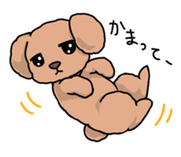 Kawaii Toy Poodle sticker #7542770