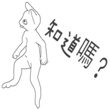 White cat everyday(1 sticker #7543584