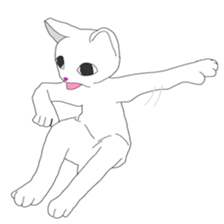 White cat everyday(1 sticker #7543589