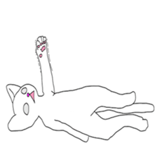 White cat everyday(1 sticker #7543596