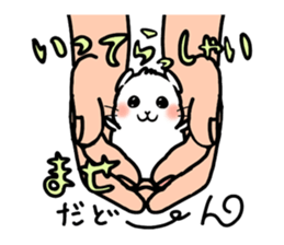 Don-chan Sticker sticker #7544275