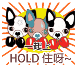 Dr.Feng and his daughter ChiHuaHua Bibi sticker #7545743