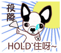 Dr.Feng and his daughter ChiHuaHua Bibi sticker #7545746