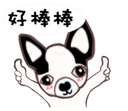 Dr.Feng and his daughter ChiHuaHua Bibi sticker #7545757