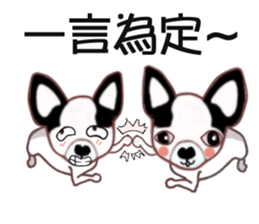Dr.Feng and his daughter ChiHuaHua Bibi sticker #7545774