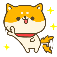 dog Shiba inu