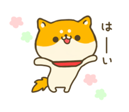 dog Shiba inu sticker #7547223