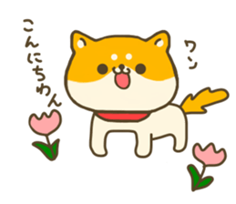 dog Shiba inu sticker #7547227