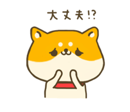 dog Shiba inu sticker #7547228