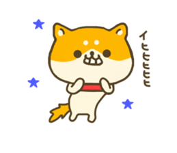 dog Shiba inu sticker #7547230