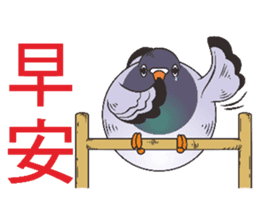 Messenger pigeon manure sticker #7548020