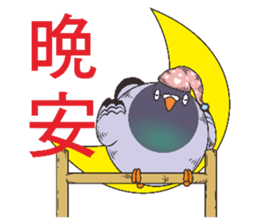 Messenger pigeon manure sticker #7548022