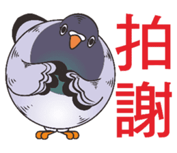 Messenger pigeon manure sticker #7548031