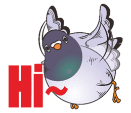 Messenger pigeon manure sticker #7548032