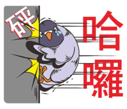 Messenger pigeon manure sticker #7548033