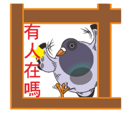 Messenger pigeon manure sticker #7548034