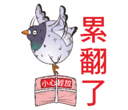 Messenger pigeon manure sticker #7548038