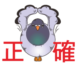 Messenger pigeon manure sticker #7548041