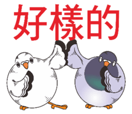 Messenger pigeon manure sticker #7548047
