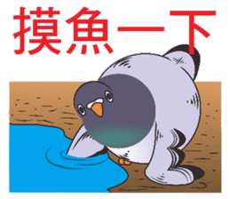 Messenger pigeon manure sticker #7548048