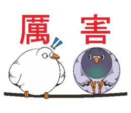 Messenger pigeon manure sticker #7548056