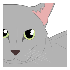 Realistic system cat