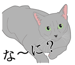 Realistic system cat sticker #7549548