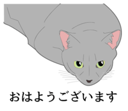 Realistic system cat sticker #7549549