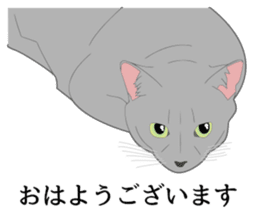 Realistic system cat sticker #7549549