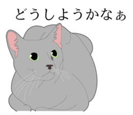 Realistic system cat sticker #7549552