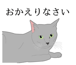 Realistic system cat sticker #7549553