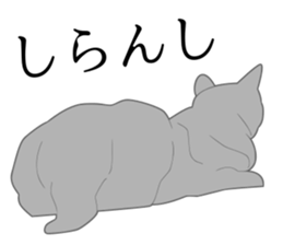 Realistic system cat sticker #7549554