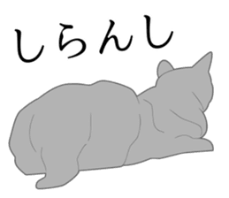 Realistic system cat sticker #7549554