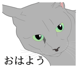 Realistic system cat sticker #7549555