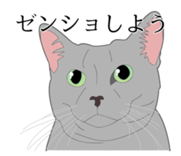 Realistic system cat sticker #7549556