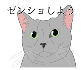 Realistic system cat sticker #7549556