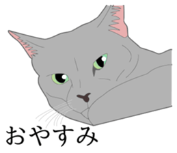 Realistic system cat sticker #7549557