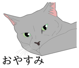 Realistic system cat sticker #7549557