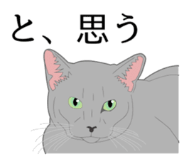 Realistic system cat sticker #7549561