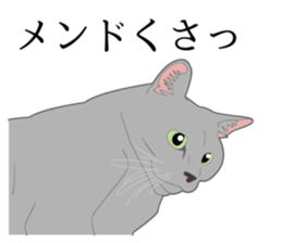 Realistic system cat sticker #7549563
