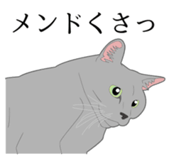 Realistic system cat sticker #7549563