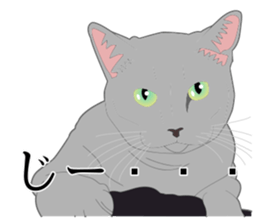 Realistic system cat sticker #7549569