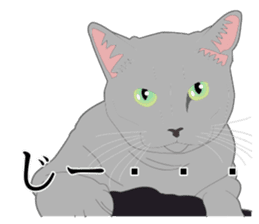 Realistic system cat sticker #7549569